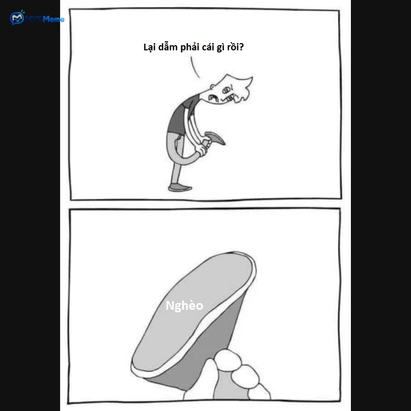 CC