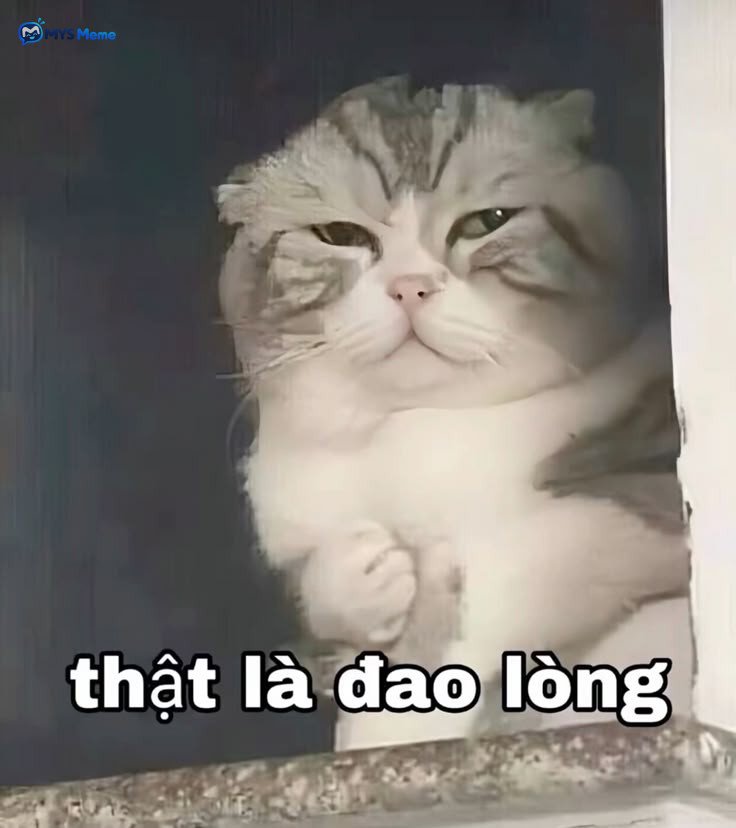 Khi thấy crsh có người iu
