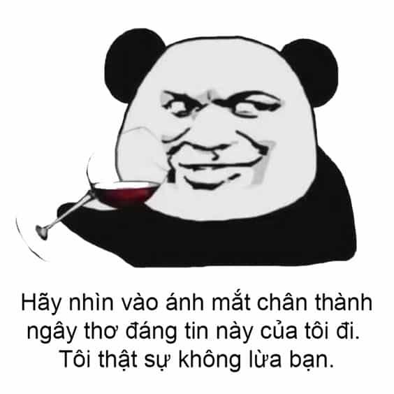 Tin tôi